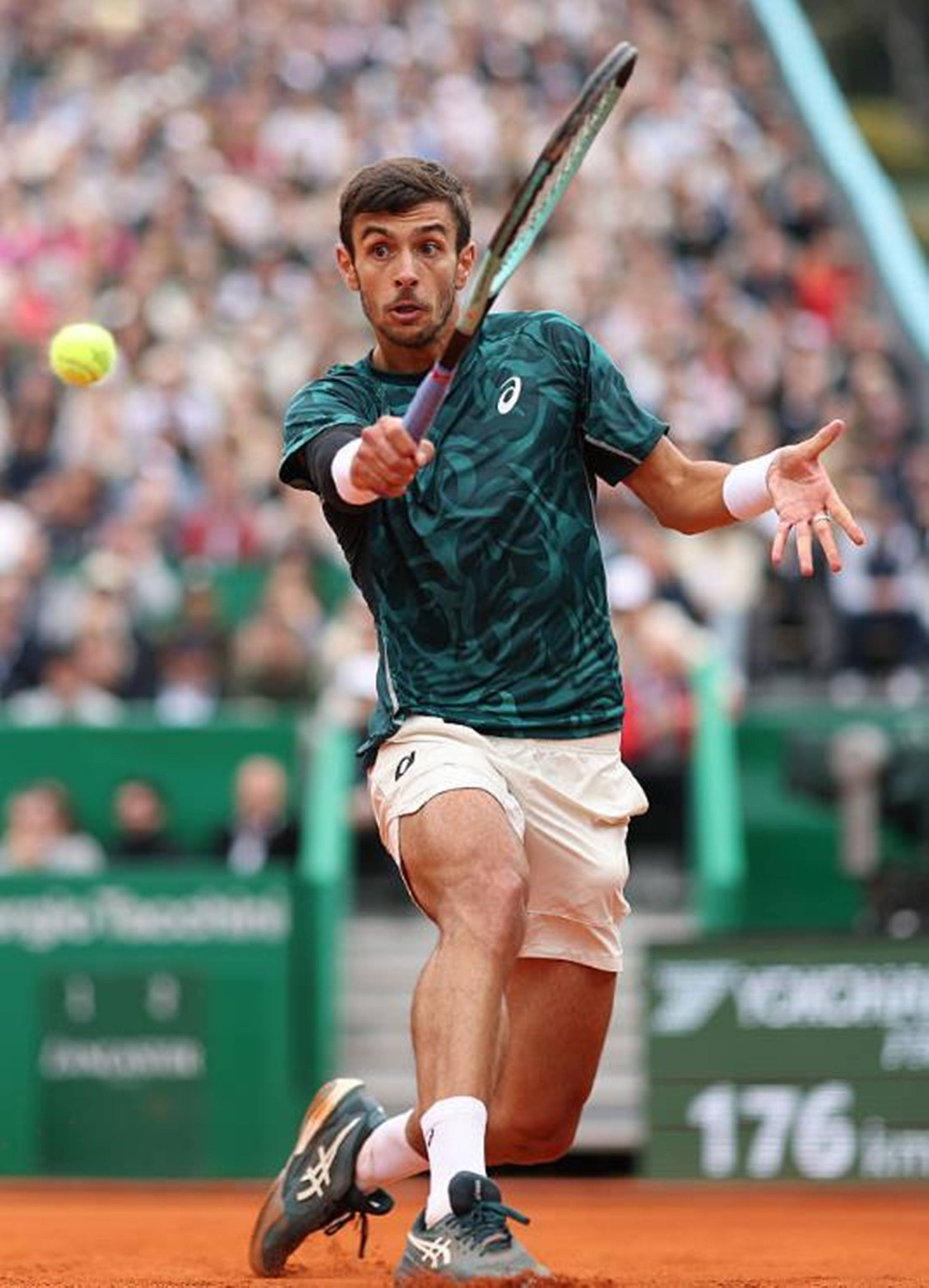 他们利用娴 他们利用娴